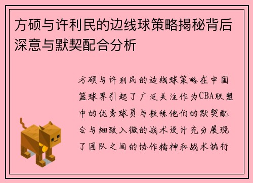 方硕与许利民的边线球策略揭秘背后深意与默契配合分析